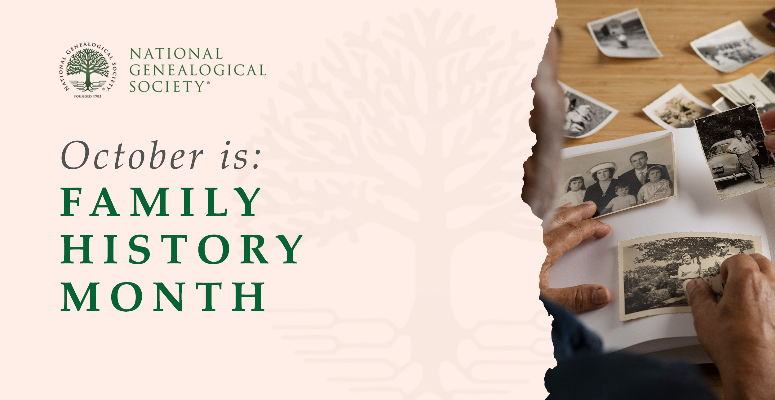 Celebrate Family History Month with New Resources from NGS National